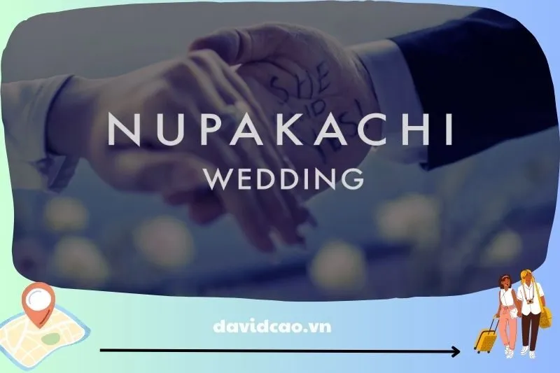 Nupakachi Studio