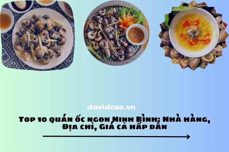 Top 10 quán ốc ngon Ninh Bình: Nhà hàng, Địa chỉ, Giá cả hấp dẫn