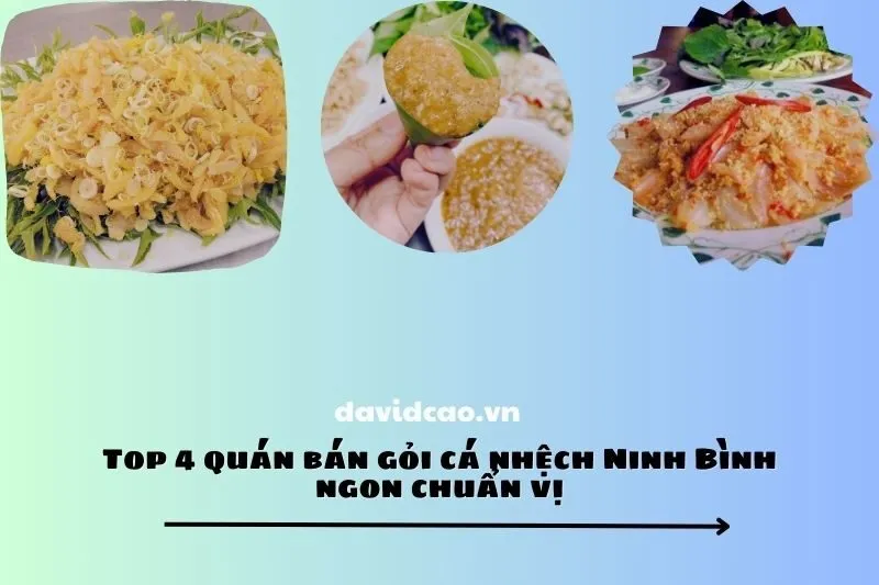 Top 4 quán bán gỏi cá nhệch Ninh Bình ngon chuẩn vị